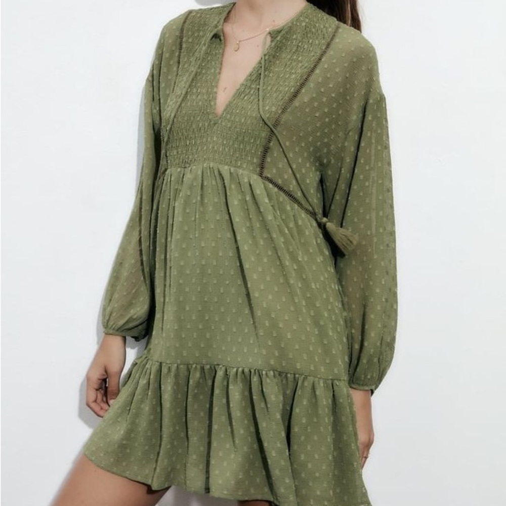 Zara Dotted Mesh Mini Dress